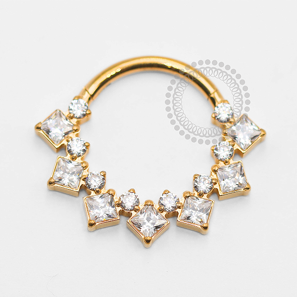 TN1905 Segmento Frontal 15 CZ Titânio PVD Gold