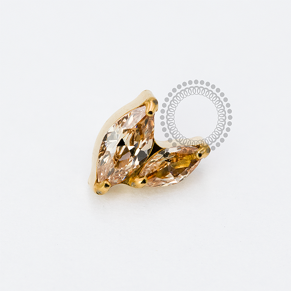 TN1917 Topo 2 Pétalas Champanhe Titânio PVD Gold