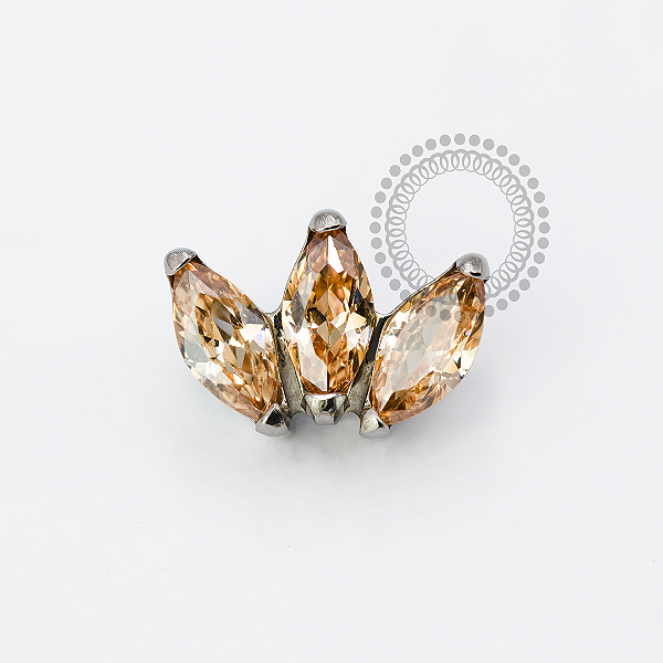 TN1932 Topo Trevo Champanhe Titânio ASTM F-136