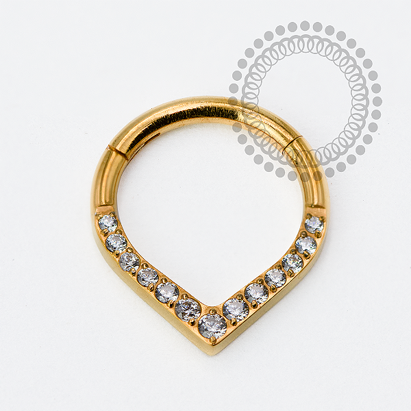 TN1962 Segmento Frontal Gota CZ Titânio PVD Gold