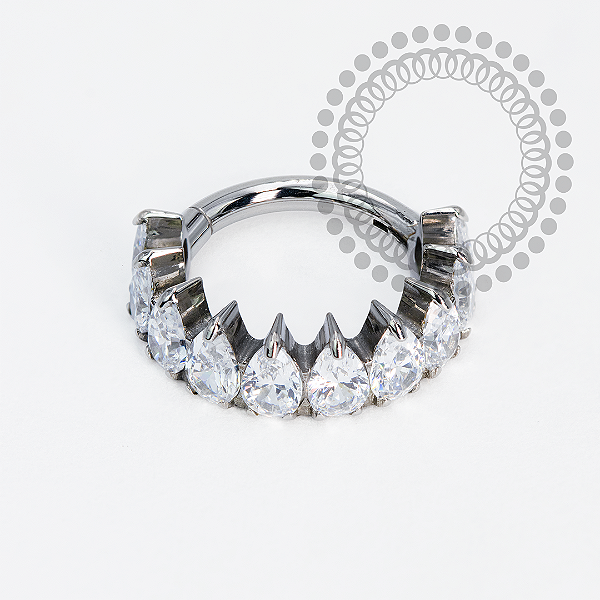 TN1965 Segmento Coroa  CZ Titânio ASTM F-136