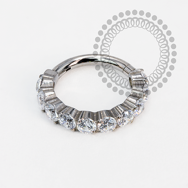 TN1986 Segmento  Zircônia Titânio ASTM F-13