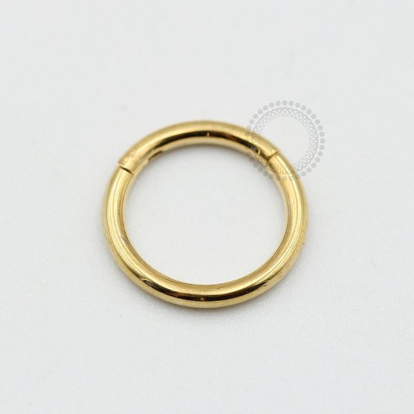 PVD20 Segmento Aço PVD Gold