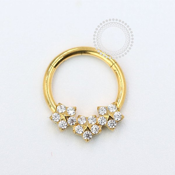 TN1069 Segmento Frontal 8mm Flores CZ Titânio PVD Gold