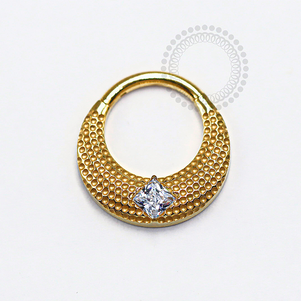 TN1245 Segmento Texturizado CZ Frontal Titânio PVD Gold