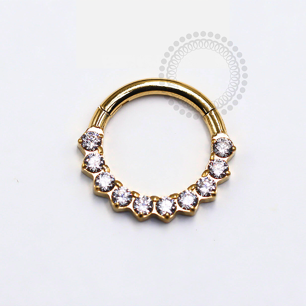 TN1247 Segmento Frontal 8mm 10 CZ Titânio PVD Gold