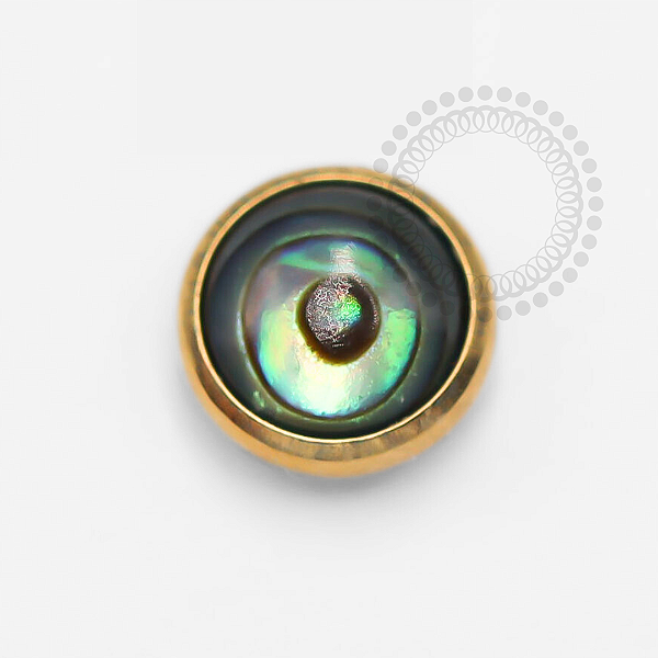 TN1334 Microdermal Pedra Abalone Titânio PVD Gold