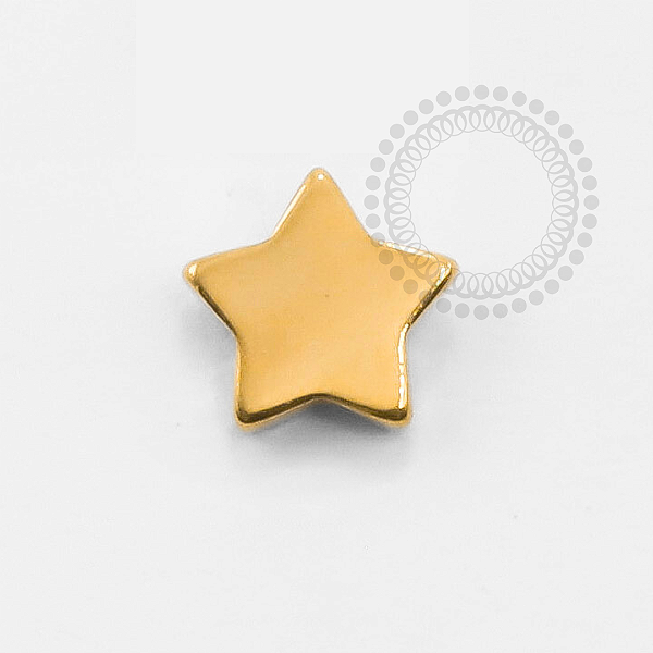 TN1340 Topo Estrela Lisa Titânio PVD Gold