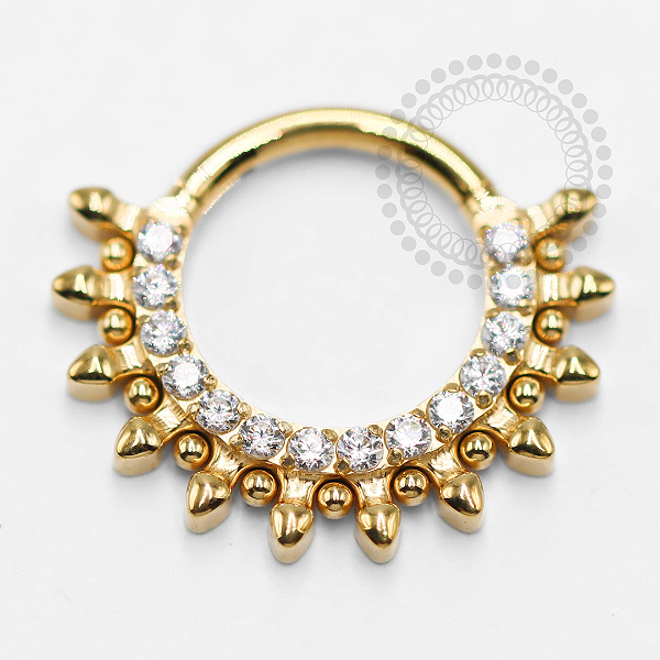 TN1361 Segmento Frontal 8mm CZ Espinhos Titânio PVD Gold