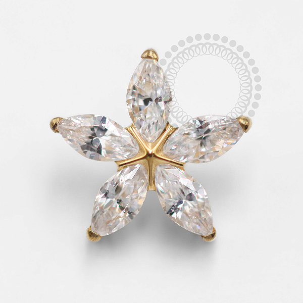 TN1362 Topo Flor 5 Pétalas Titânio PVD Gold