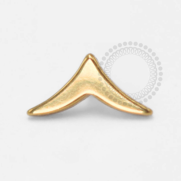 TN1394 Topo Rabo de Baleia  Titânio PVD Gold