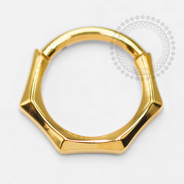 TN1409 Segmento Frontal 8mm Hexagonal  Titânio PVD Gold