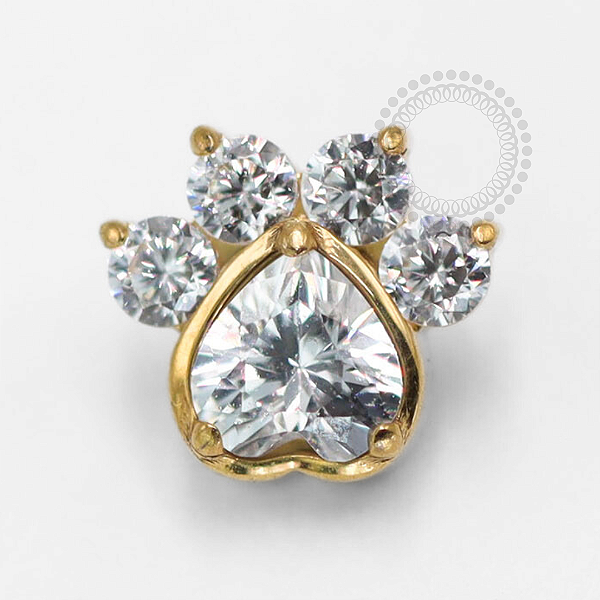 TN1453 Topo Patinha Zircônias Titânio PVD Gold