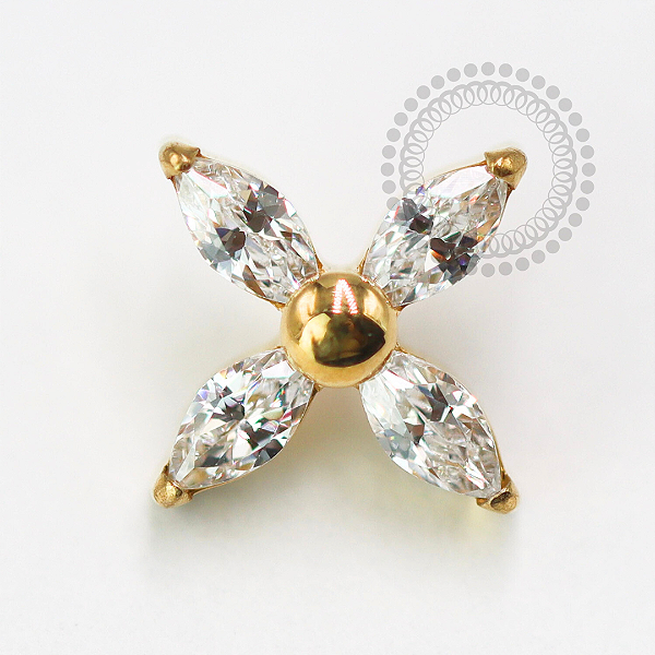 TN1577 Topo Flor 4 Pétalas CZ Titânio PVD Gold