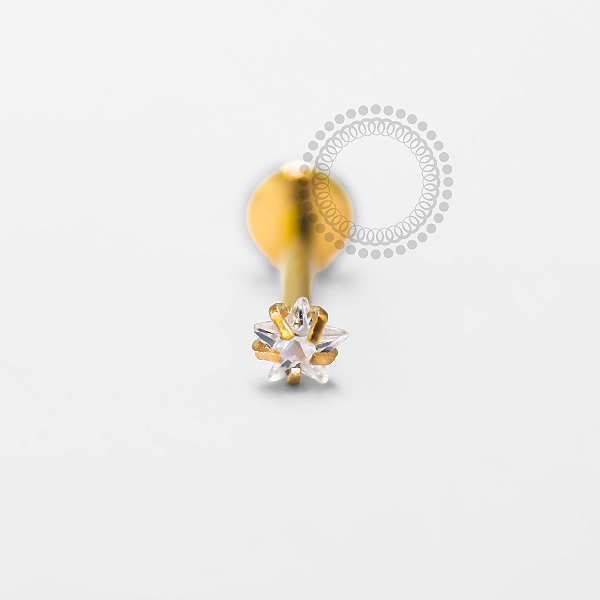 TN1673 Labret Estrela CZ Titânio PVD Gold