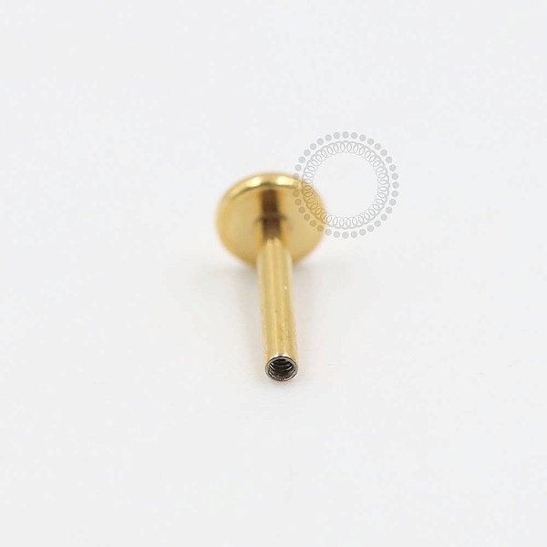 TN1697 Haste Labret Disco 2.5mm Titânio PVD Gold