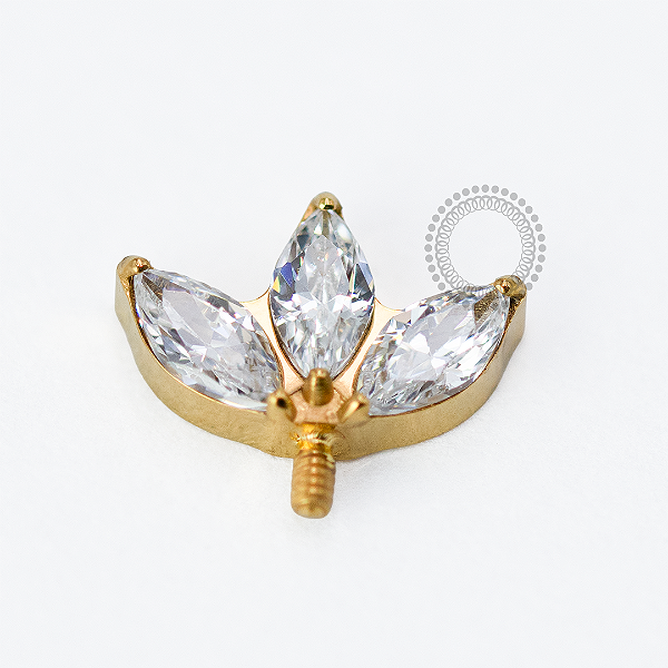 TN1720 Topo Vertical Helix Navetes CZ Titânio PVD Gold