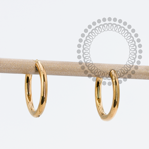 TN1754 Brinco Argola Lisa Titânio PVD Gold