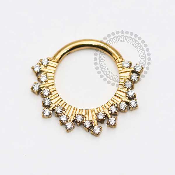 TN1772 Segmento 8mm Raios CZ Titânio PVD Gold