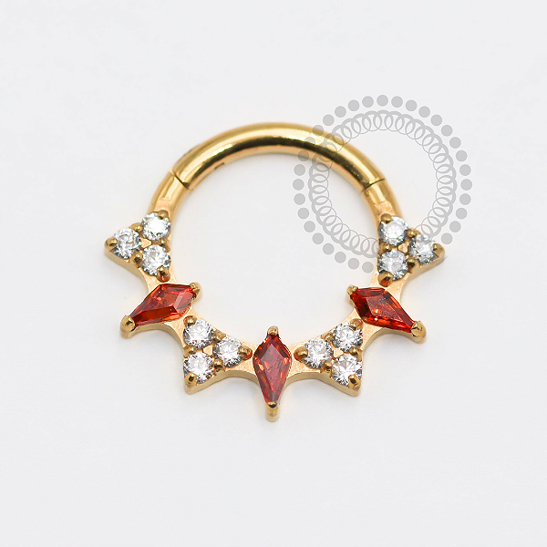 TN1773 Segmento Frontal 8mm CZ Garnet e Cristal Titânio PVD Gold