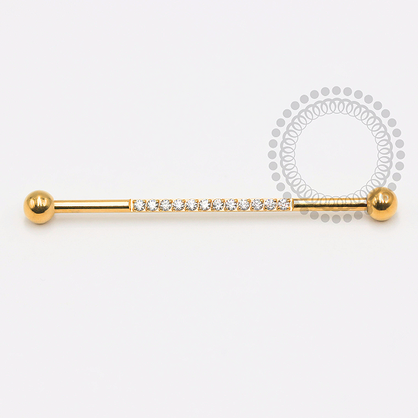 TN1780 Transversal Cravejado Titânio PVD Gold