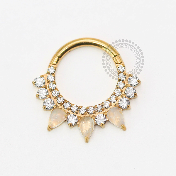 TN1788 Segmento Frontal 8mm CZ e Gotas Moon Titânio PVD Gold