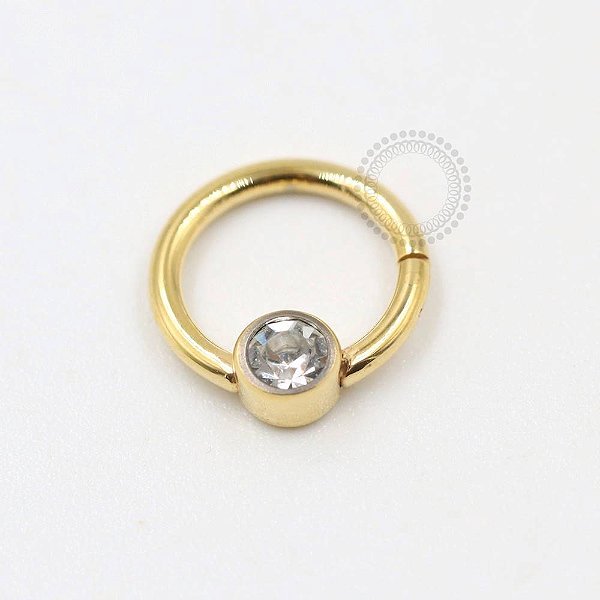 TN295 Segmento Frontal 8mm CZ Flat Titânio PVD Gold