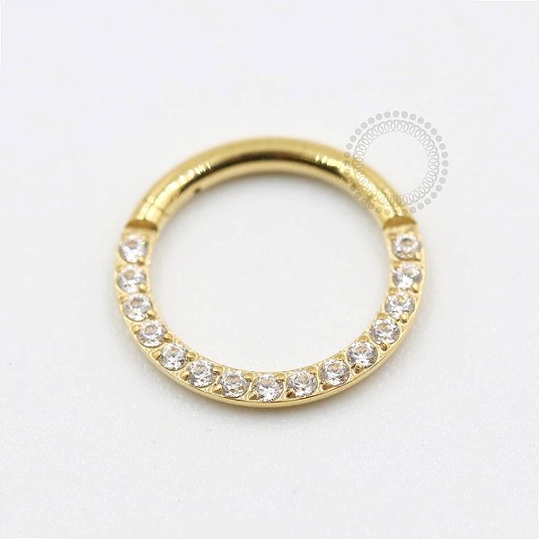 TN301 Segmento Frontal Cravejado Titânio PVD Gold