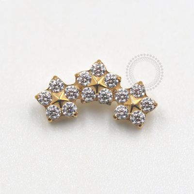 TN676 Topo Cluster 3 Flores CZ Titanio PVD Gold