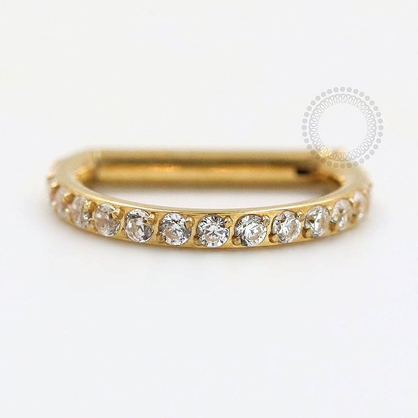 TN74 Segmento CZ Haste Reta Titânio PVD Gold