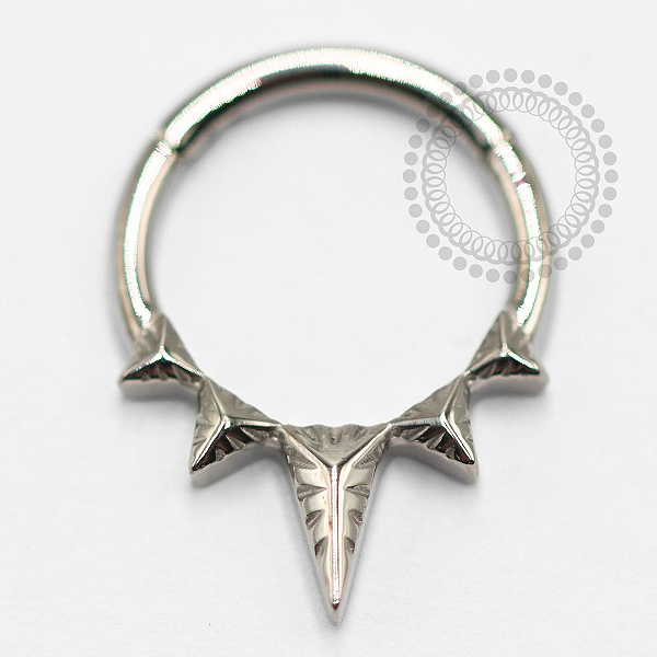 TN1541 Segmento Spike Titânio ASTM F-136