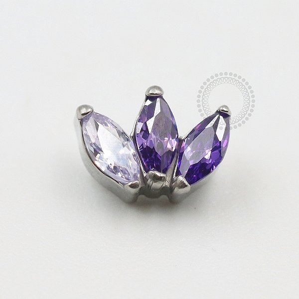 TN522 Topo 3 Navetes Roxo Degradê Titânio  ASTM F136