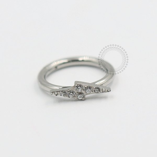 TN546 Segmento Raio CZ 8mm Titânio ASTM F136