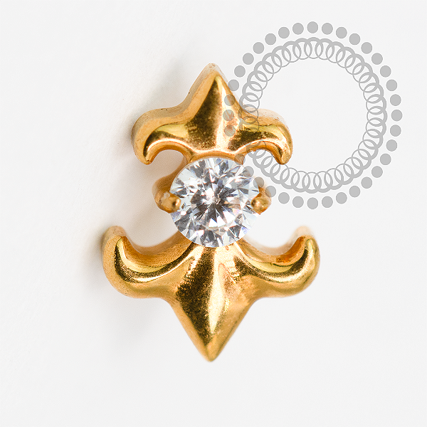 TN2027  Topo Flor De Lis CZ Titânio PVD Gold