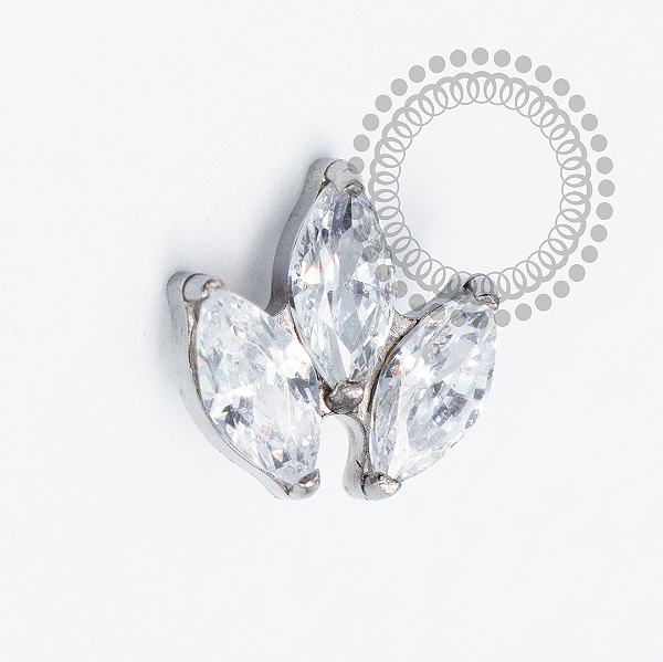 TN2080 Topo Trio Navetes CZ Titânio PVD GOLD