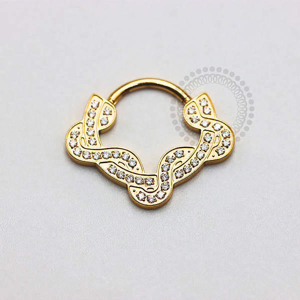 TN1182 Segmento Frontal CZ Serpentina Titânio PVD Gold