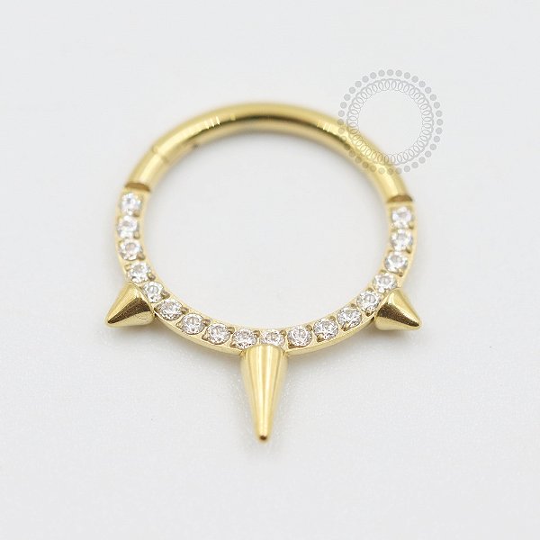 TN427 Segmento Spike CZ Titânio PVD Gold