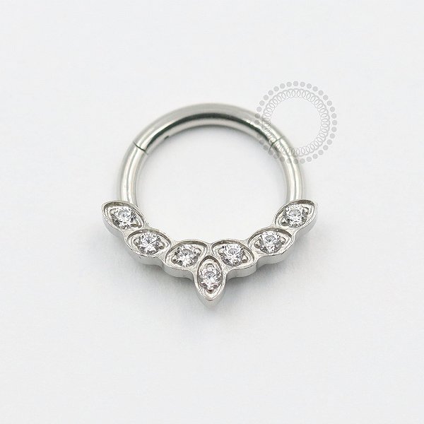 TN531 Segmento Frontal 7 Pedras Titânio ASTM F136