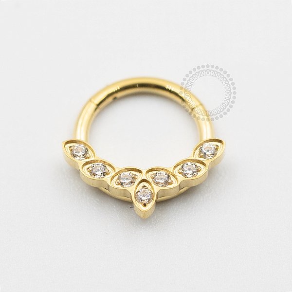 TN621 Segmento Frontal 7 CZ Titânio PVD Gold