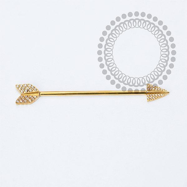 TN2248 Transversal Flecha Cravejado Titânio PVD Gold