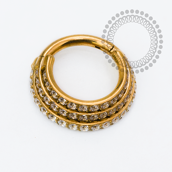 TN2431 Segmento 3 Degraus  CZ Titânio PVD Gold