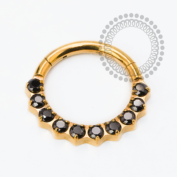 TN2463  Segmento CZ Frontal Black Titânio PVD Gold