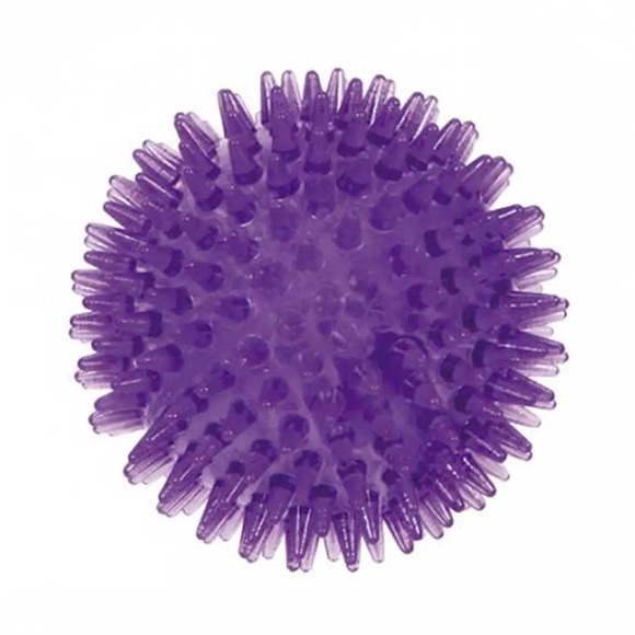 Bolinha de Pontas Grande Lilás Jambo G