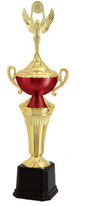 Troféu Vitória 06