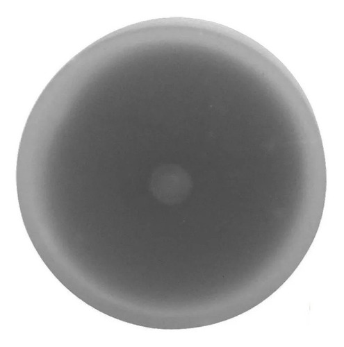 Tampa Reservatorio Gasolina Escort Verona Corcel Belina