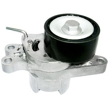 ROLAMENTO CORREIA ALTERNADOR PEUGEOT 206 / 207 APÓS 2004
