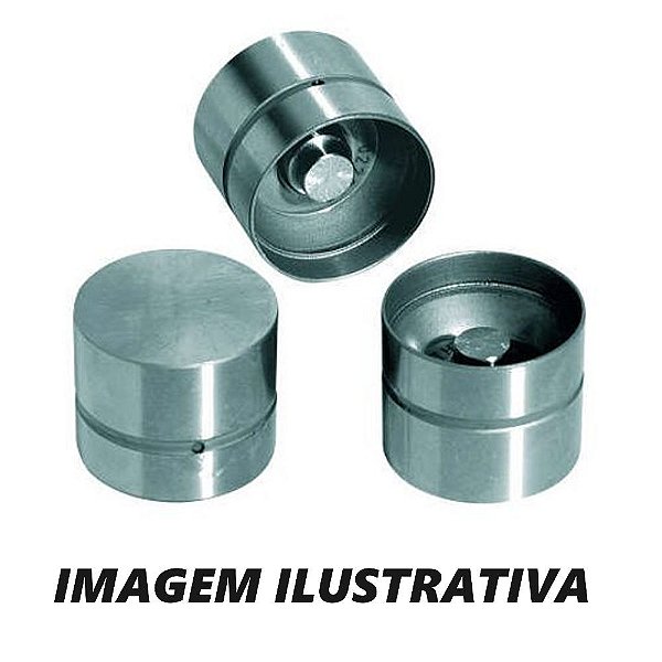 TUCHO HIDRAULICO MOTOR CORSA / VECTRA / ZAFIRA / OMEGA 16V