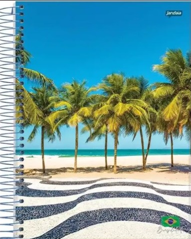 Caderno Universitário Capa Dura 10 Matérias 200 Folhas