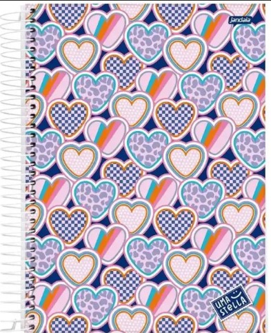 Caderno Universitário Capa Dura 1 Matéria 96 Folhas