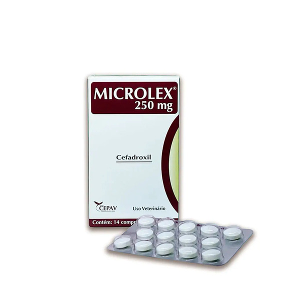 Antibiótico Microlex Cães e Gatos Cepav 250 mg